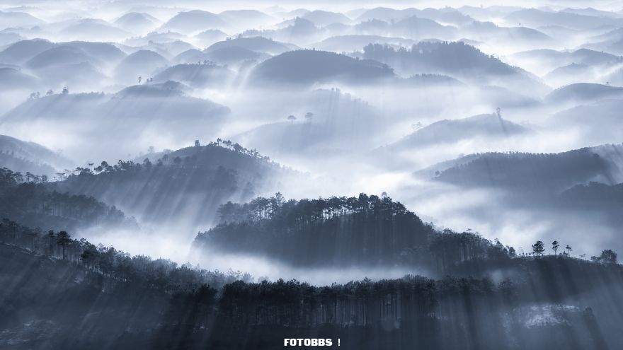 Early-fog-by-caokynhan-Vietnam-5e58e2ec05117__880.jpg
