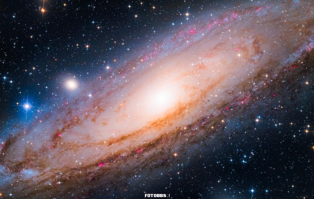 Y-203929-11_Andromeda_Galaxy_INSERT_COLON_The_Neighbour_by_Yang_Hanwen_and_Zhou_Zezhen.jpg