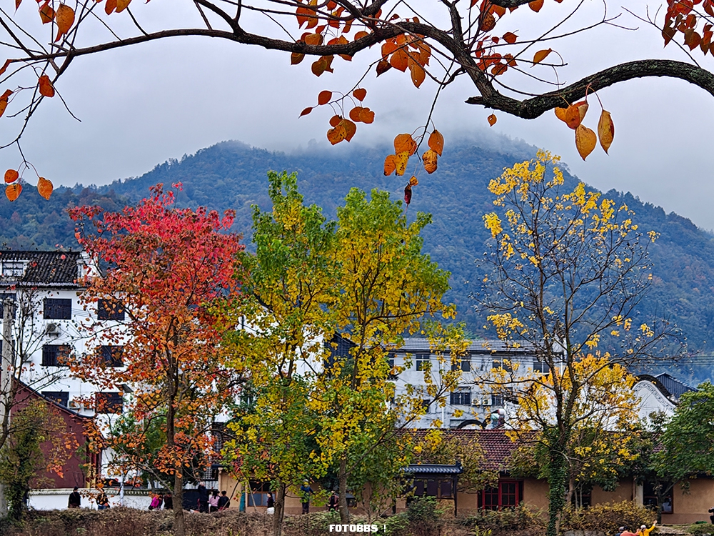 IMG20251108170656 .jpg